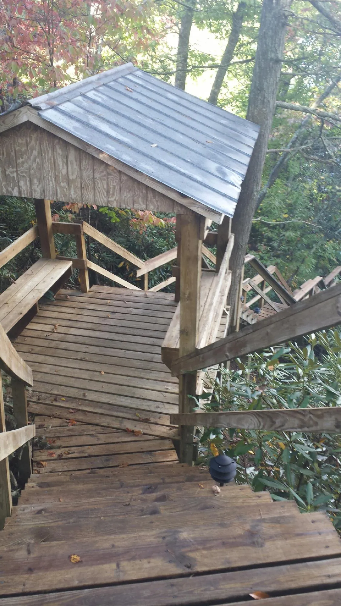 Metal roofed shelter over wooden steps on a wooded walkway — Skylight Repair & Installation work by our crew in Greenback